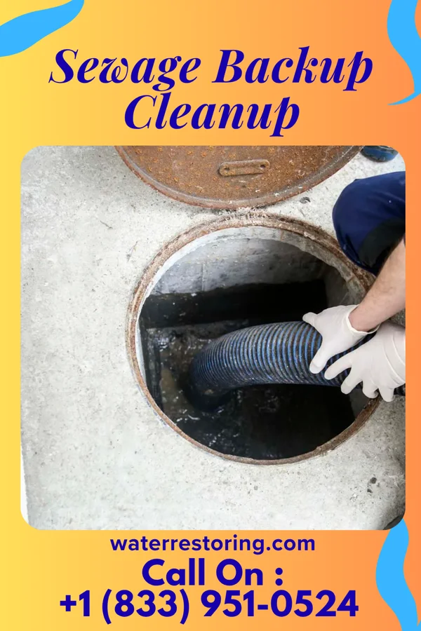 Sewage Backup Cleanup in Grubbs, AR